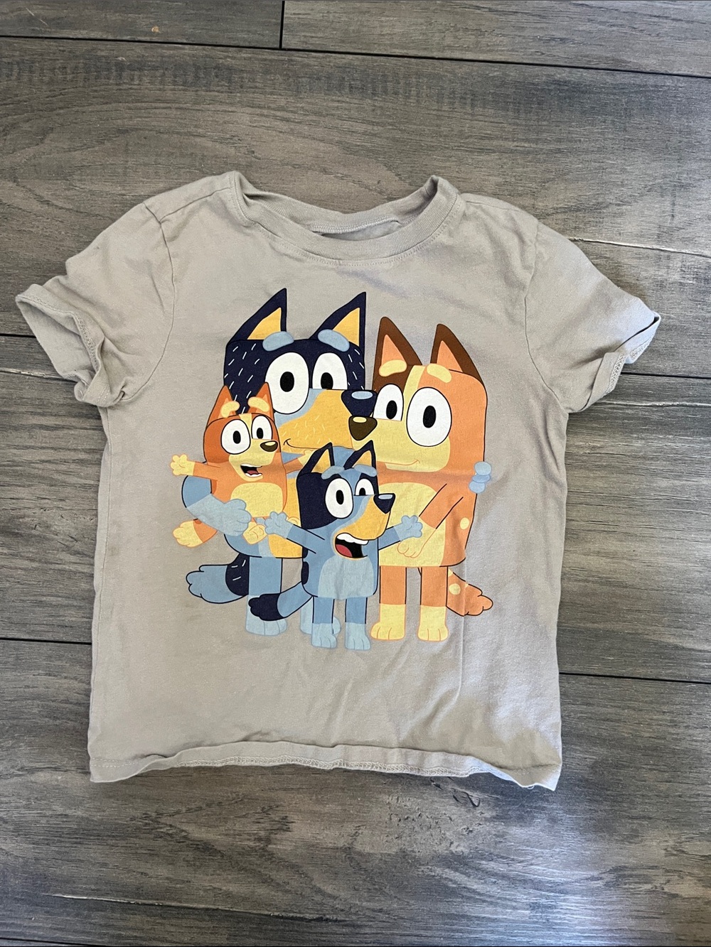 Bluey Family Graphic Short Sleeve Tee - Gray